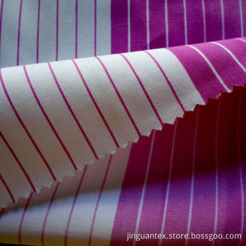 Nylon Taslon Fabric, Printed